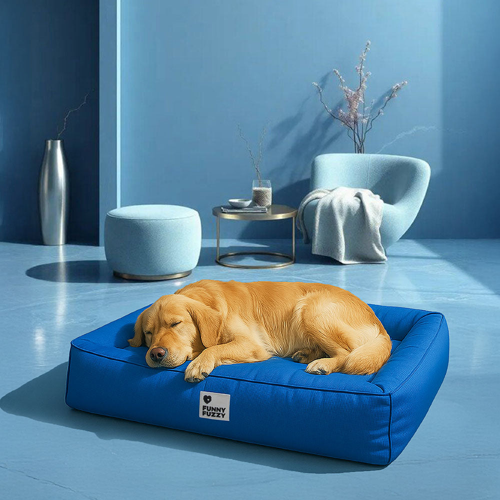 Vollständig orthopädische Umgebungsunterstützung wasserdichtes großes Hundebett für die Hundebox