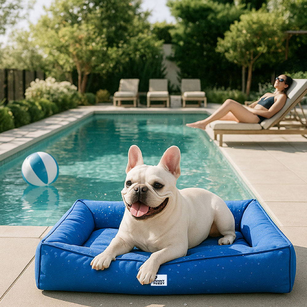 Vollständig orthopädische Umgebungsunterstützung wasserdichtes großes Hundebett für die Hundebox