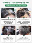 🔥Fruit Essence Hair Dyeing Comb