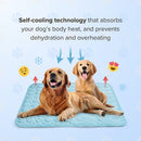 🌞🐱Promoção de Verão: 49% de desconto🧊Tapete refrescante premium para animais de estimação🐶