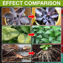 🔥Compre 2 e ganhe 1 grátis (3 unidades)🔥Solução nutritiva para plantas