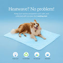 🌞🐱Promoção de Verão: 49% de desconto🧊Tapete refrescante premium para animais de estimação🐶