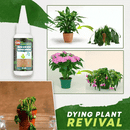 🔥Compre 2 e ganhe 1 grátis (3 unidades)🔥Solução nutritiva para plantas