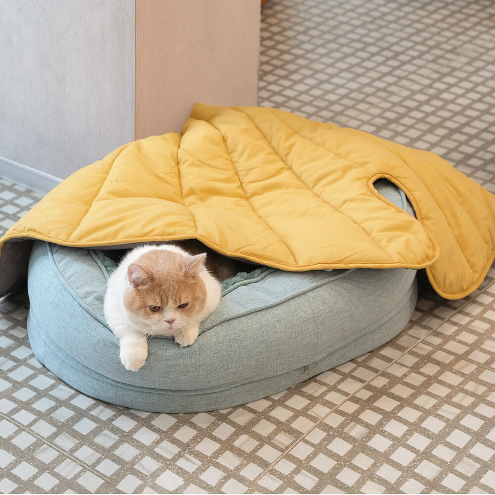 Donut Orthopädisches Hundebett - Home Office