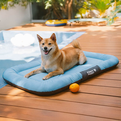Wasserfestes und bissfestes Memory-Schaum-Orthopädisches Hundematte für die Hundebox