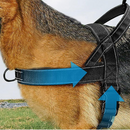 🥳PROMOÇÃO DE 2026🥳💞Mais de 50 mil unidades vendidas!🐕💪 50% DE DESCONTO! Arnês tático resistente para cães – sem puxões, sem estrangulamento. Faixas refletoras para passeios noturnos. Alça almofadada e de fácil manuseio. 🛡️✨