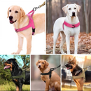 🥳PROMOÇÃO DE 2026🥳💞Mais de 50 mil unidades vendidas!🐕💪 50% DE DESCONTO! Arnês tático resistente para cães – sem puxões, sem estrangulamento. Faixas refletoras para passeios noturnos. Alça almofadada e de fácil manuseio. 🛡️✨