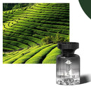 Ambientador para automóvel de longa duração, 110 ml